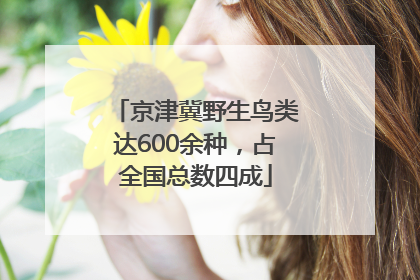 京津冀野生鸟类达600余种，占全国总数四成