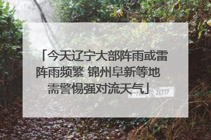今天辽宁大部阵雨或雷阵雨频繁 锦州阜新等地需警惕强对流天气