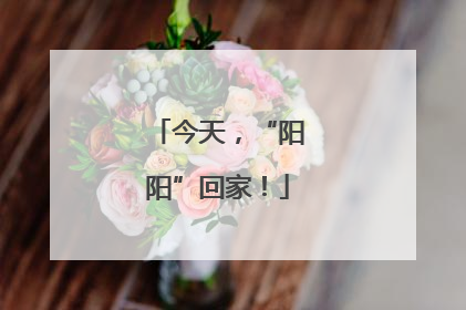 今天，“阳阳”回家！