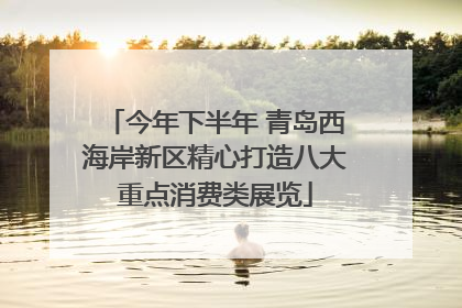 今年下半年 青岛西海岸新区精心打造八大重点消费类展览
