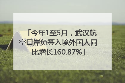 今年1至5月，武汉航空口岸免签入境外国人同比增长160.87%