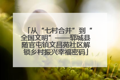 从“七村合并”到“全国文明”——郓城县随官屯镇文昌苑社区解锁乡村振兴幸福密码