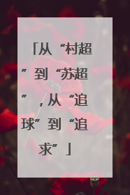 从“村超”到“苏超”，从“追球”到“追求”