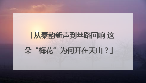 从秦韵新声到丝路回响 这朵“梅花”为何开在天山？