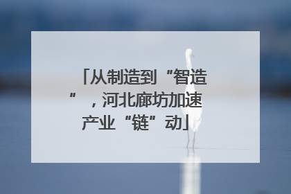从制造到“智造”，河北廊坊加速产业“链”动