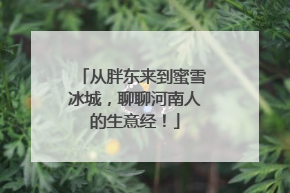 从胖东来到蜜雪冰城，聊聊河南人的生意经！