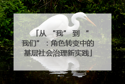 从 “我” 到 “我们”：角色转变中的基层社会治理新实践