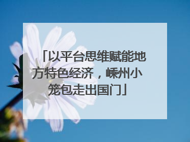 以平台思维赋能地方特色经济，嵊州小笼包走出国门