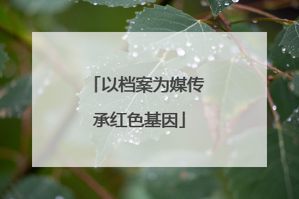 以档案为媒传承红色基因