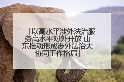 以高水平涉外法治服务高水平对外开放 山东推动形成涉外法治大协同工作格局