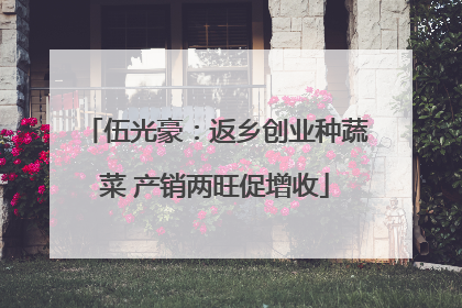 伍光豪：返乡创业种蔬菜 产销两旺促增收