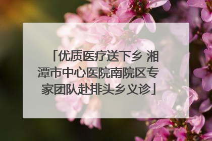 优质医疗送下乡 湘潭市中心医院南院区专家团队赴排头乡义诊