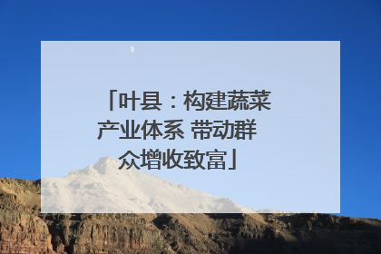 叶县：构建蔬菜产业体系 带动群众增收致富