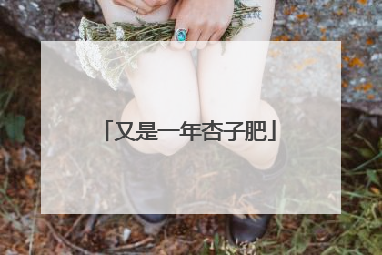 又是一年杏子肥