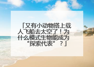 又有小动物搭上载人飞船去太空了！为什么模式生物能成为“探索代表”？