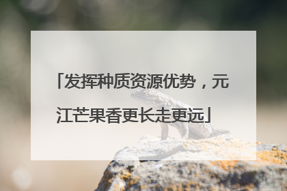 发挥种质资源优势，元江芒果香更长走更远