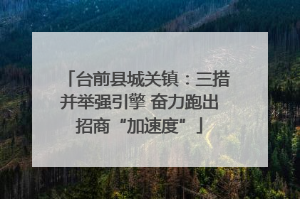 台前县城关镇：三措并举强引擎 奋力跑出招商“加速度”