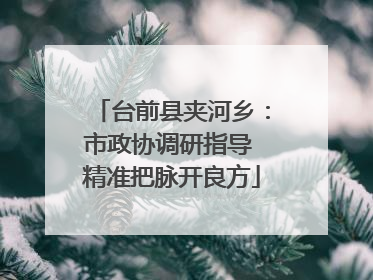 台前县夹河乡：市政协调研指导 精准把脉开良方