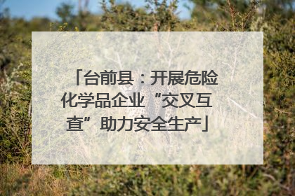 台前县：开展危险化学品企业“交叉互查”助力安全生产