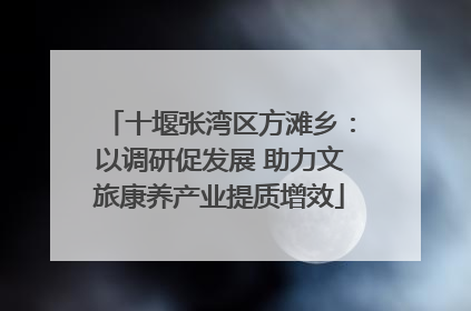 十堰张湾区方滩乡：以调研促发展 助力文旅康养产业提质增效