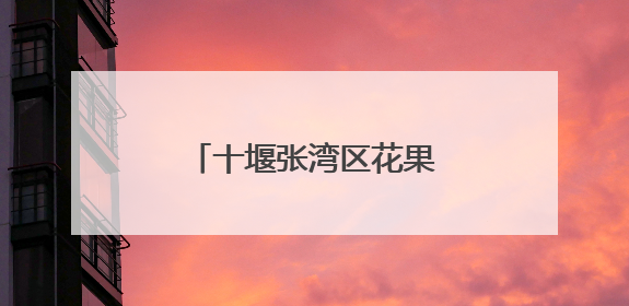 十堰张湾区花果街道守护文明河流 共绘生态画卷