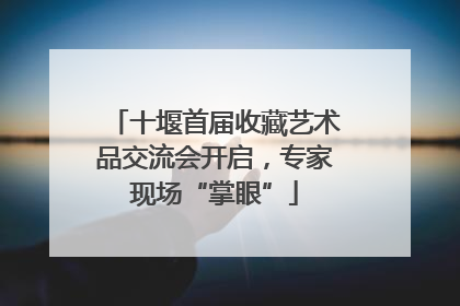 十堰首届收藏艺术品交流会开启，专家现场“掌眼”
