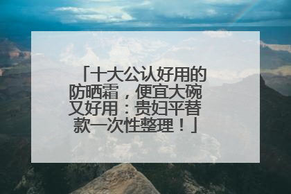 十大公认好用的防晒霜，便宜大碗又好用：贵妇平替款一次性整理！
