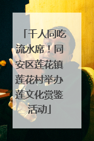千人同吃流水席！同安区莲花镇莲花村举办莲文化赏鉴活动
