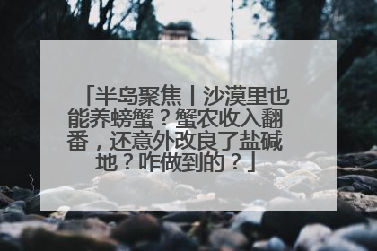 半岛聚焦丨沙漠里也能养螃蟹？蟹农收入翻番，还意外改良了盐碱地？咋做到的？