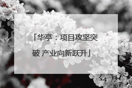 华亭：项目攻坚突破 产业向新跃升