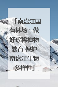 南盘江国有林场：做好珍稀植物繁育 保护南盘江生物多样性