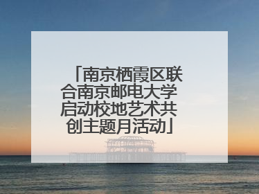 南京栖霞区联合南京邮电大学启动校地艺术共创主题月活动