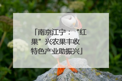 南京江宁：“红果”兴农果丰收 特色产业助振兴