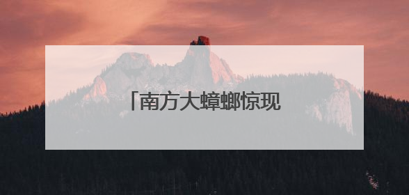 南方大蟑螂惊现北京居民家中