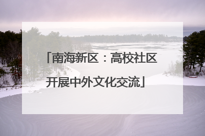 南海新区：高校社区开展中外文化交流