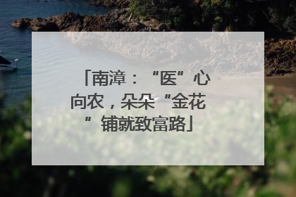 南漳：“医”心向农，朵朵“金花”铺就致富路