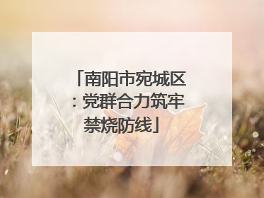 南阳市宛城区：党群合力筑牢禁烧防线