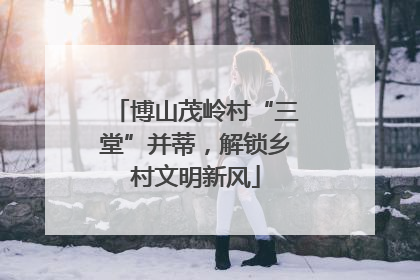 博山茂岭村“三堂”并蒂，解锁乡村文明新风