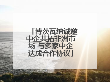 博茨瓦纳诚邀中企共拓非洲市场 与多家中企达成合作协议