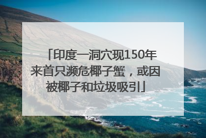 印度一洞穴现150年来首只濒危椰子蟹，或因被椰子和垃圾吸引