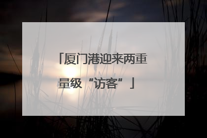 厦门港迎来两重量级“访客”