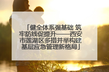 健全体系强基础 筑牢防线促提升——西安市莲湖区多措并举构建基层应急管理新格局