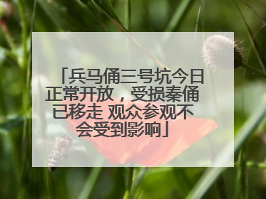 兵马俑三号坑今日正常开放，受损秦俑已移走 观众参观不会受到影响