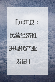 元江县：民营经济推进现代产业发展