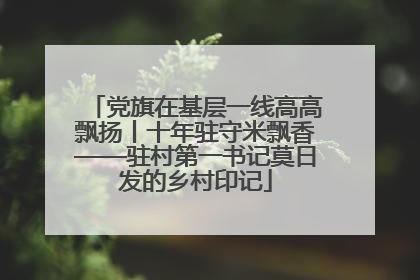 党旗在基层一线高高飘扬丨十年驻守米飘香——驻村第一书记莫日发的乡村印记