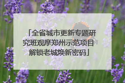 全省城市更新专题研究班观摩郑州示范项目 解锁老城焕新密码