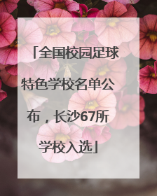 全国校园足球特色学校名单公布，长沙67所学校入选