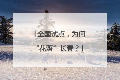 全国试点，为何“花落”长春？