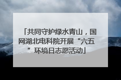 共同守护绿水青山，国网湖北电科院开展“六五”环境日志愿活动