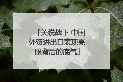 关税战下 中国外贸进出口表现亮眼背后的底气